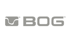 Bog