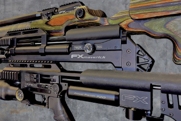 Top 3 FX Air Rifles